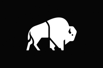 Buffalo Systems white logo non black background