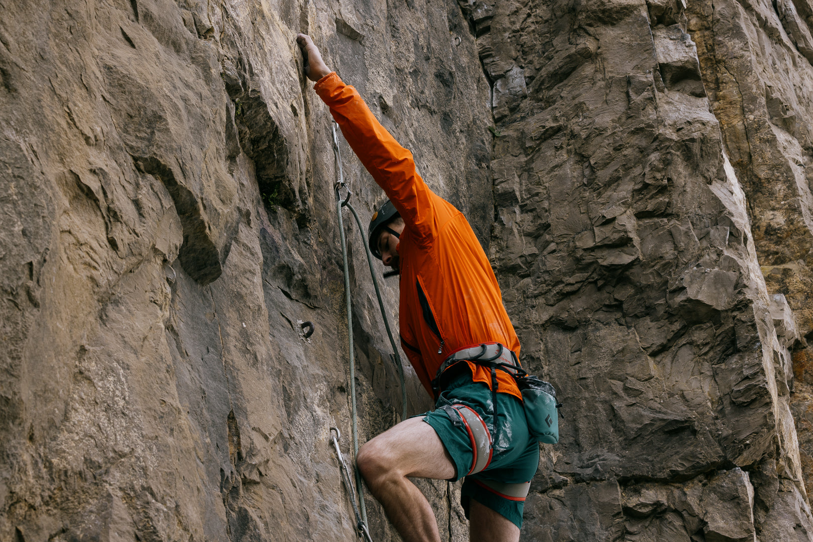 Summer Collection – Buffalo Systems
