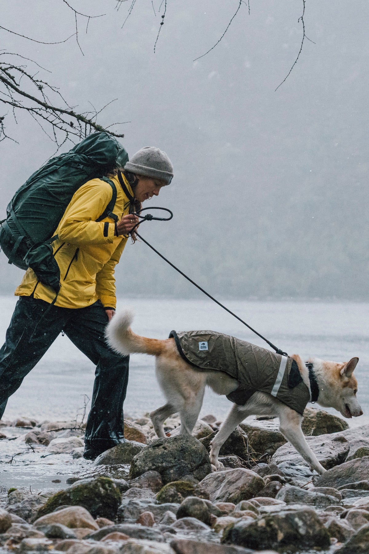 Veste légère pour chien Buffalo Systems